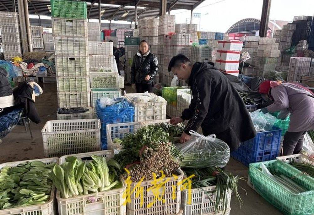 大白菜批发价每斤不到4毛钱，济南菜价连续七周环比下降