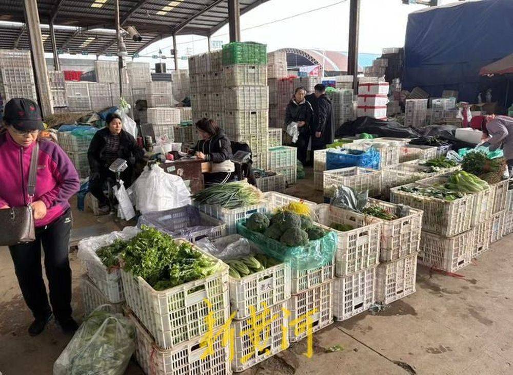 大白菜批发价每斤不到4毛钱，济南菜价连续七周环比下降