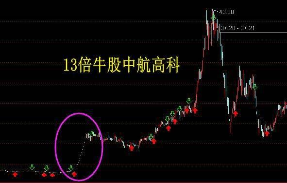 证券之星待遇(证券之星ceo)
