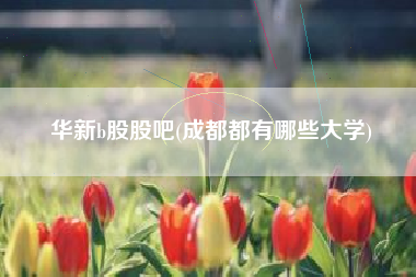 平安证券b股(平安证券B股资金进出)