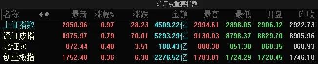 湛江证券公司(湛江证券公司地址)