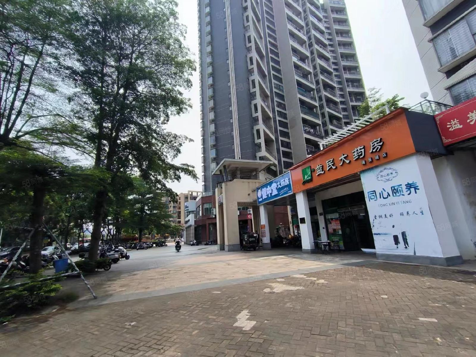 湛江证券公司(湛江证券公司位置)