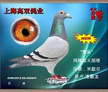 中信证券福建(中信证券福建分公司眭艳萍)
